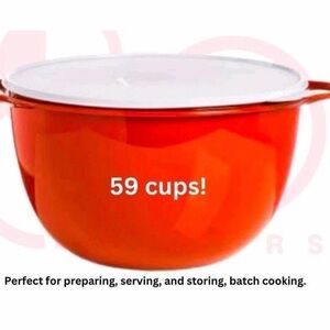 TUPPERWARE JUMBO THATSA 59 CUPS 14 LITER CAPACITY HUGE RED AIR TIGHT LEAK PROOF